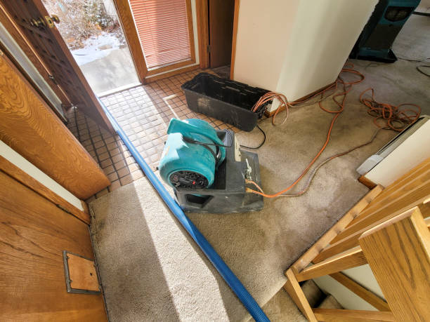 Best Water damage restoration near me  in Hopkins, MN