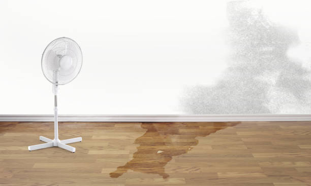  Hopkins, MN Water damage restoration Pros