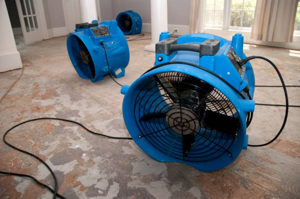 Best Emergency water damage restoration  in Hopkins, MN