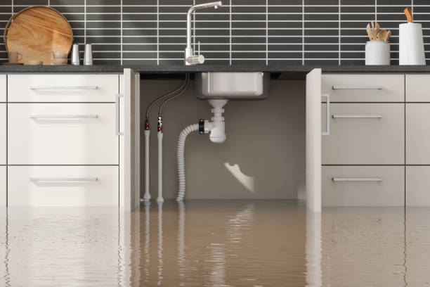Best Local water damage restoration  in Hopkins, MN